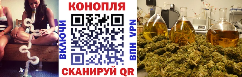 Какие есть наркотики Яровое КОКАИН  АМФЕТАМИН  Alpha-PVP  Гашиш  МЕФ  MEGA вход  Конопля 