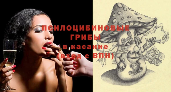 гашик Абаза