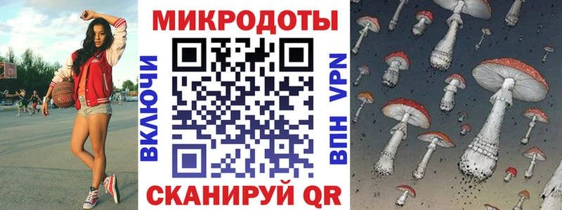где купить   Яровое  Псилоцибиновые грибы мухоморы 